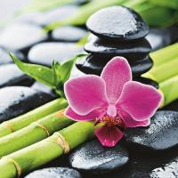 Штора для ванной BRIMIX 180*200 БАМБУКс ЦВЕТКОМ