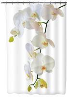 Штора для ванной 180х180 "Магия" РН22