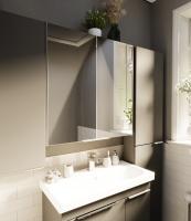 Зеркальный шкаф Gaula 60H 2д Black