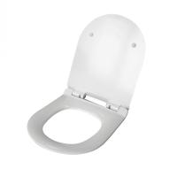 Сиденье для унитаза IDDIS дюропласт LT-017E SC CLORDSEi25